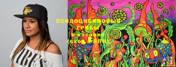 прущая мука Балахна